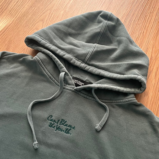 Can't Blame the Youth hoodie