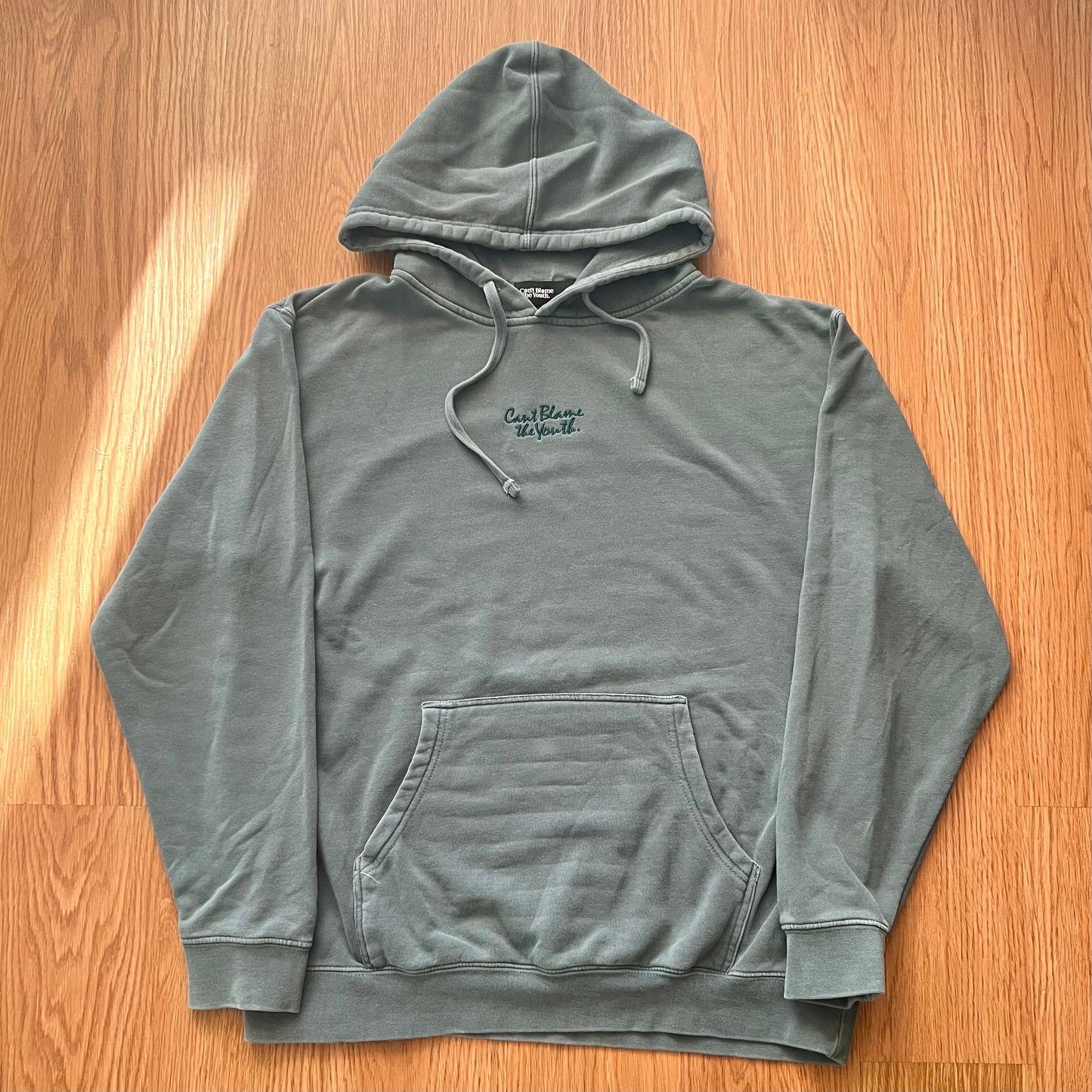 Can't Blame the Youth hoodie