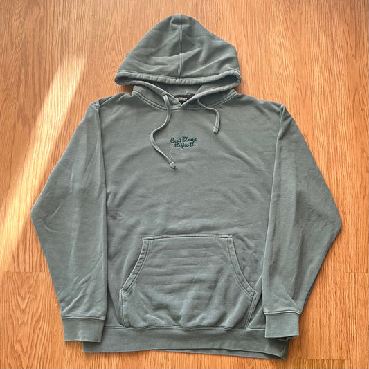 Can't Blame the Youth hoodie