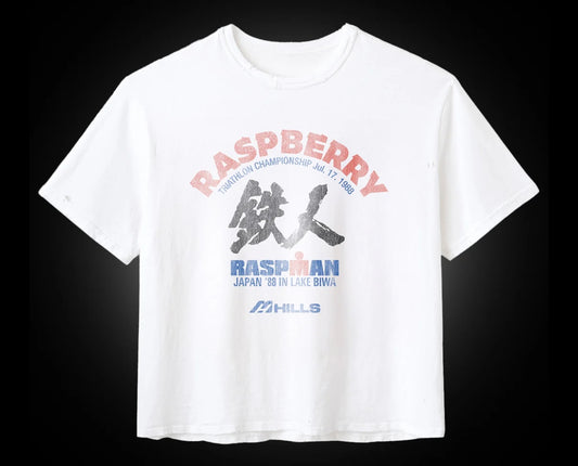 GV Gallery Lake Biwa tee